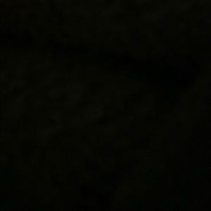 Meet your Posher, Jared